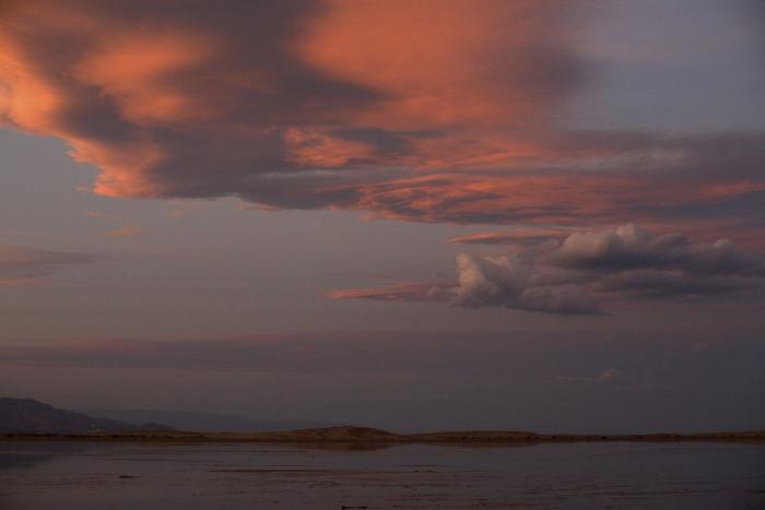 El Ebro 'supura' tóxicos para limpiar una herida centenaria