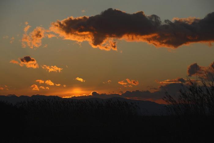 El Ebro 'supura' tóxicos para limpiar una herida centenaria
