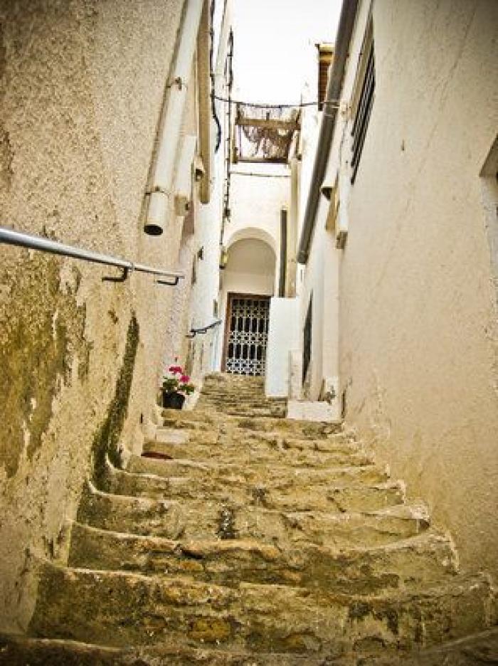 Cinco planazos (gratis) para viajar desde el sofá