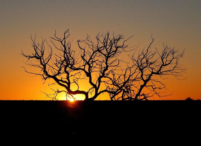 Mira los mejores hoteles con playa del mundo sin morirte de envidia (FOTOS)