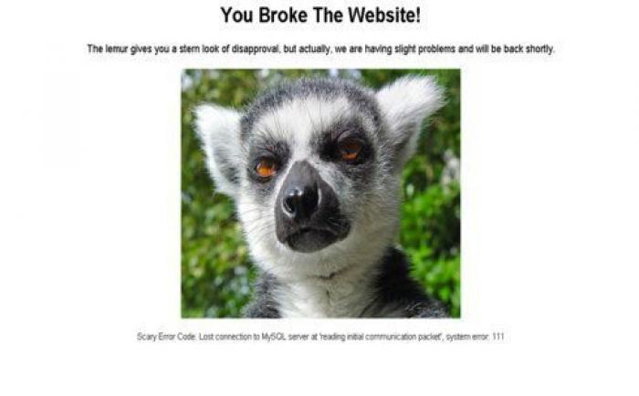 Los animales de la semana: lemures tan expresivos como tú... o más (FOTOS)