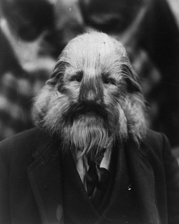 El Circo del Sol se declara en bancarrota y despide a 3.480 empleados