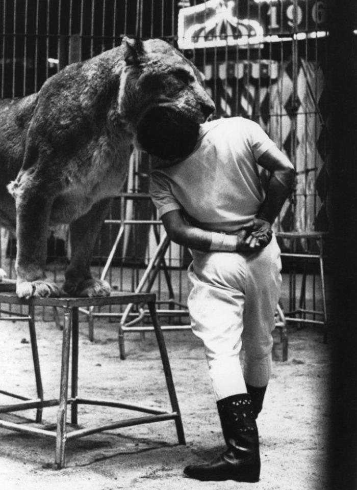 El Circo del Sol se declara en bancarrota y despide a 3.480 empleados