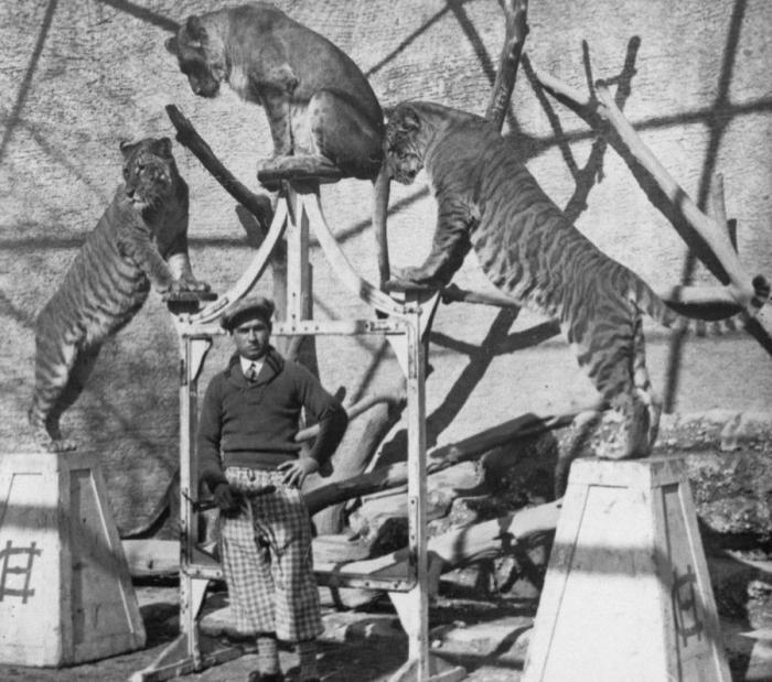 El Circo del Sol se declara en bancarrota y despide a 3.480 empleados