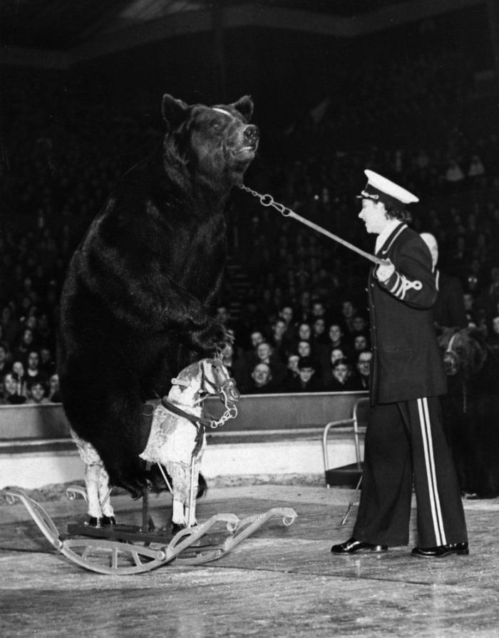 El Circo del Sol se declara en bancarrota y despide a 3.480 empleados