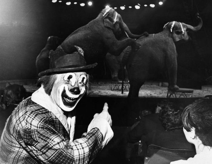 El Circo del Sol se declara en bancarrota y despide a 3.480 empleados