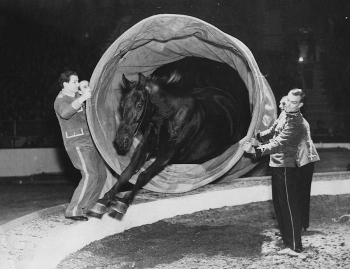 El Circo del Sol se declara en bancarrota y despide a 3.480 empleados