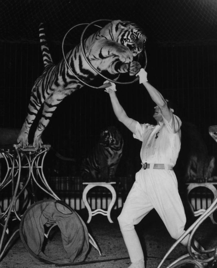 El Circo del Sol se declara en bancarrota y despide a 3.480 empleados