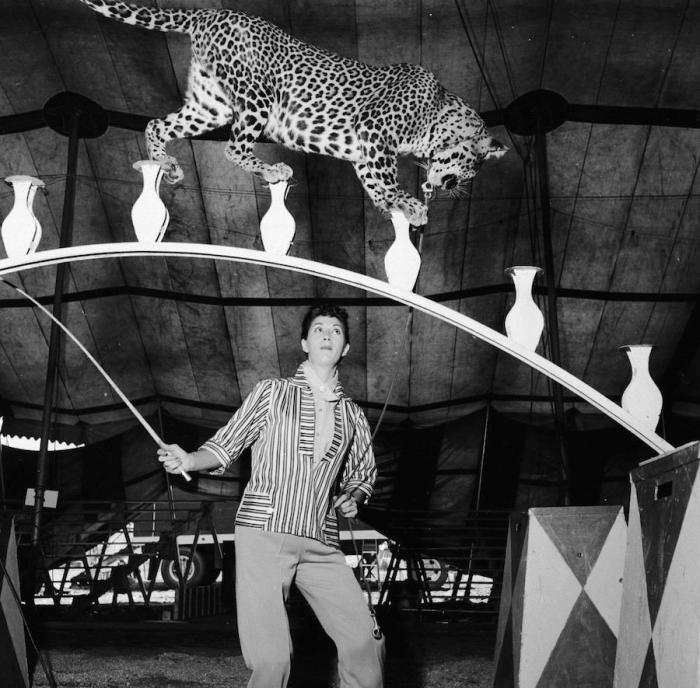 El Circo del Sol se declara en bancarrota y despide a 3.480 empleados