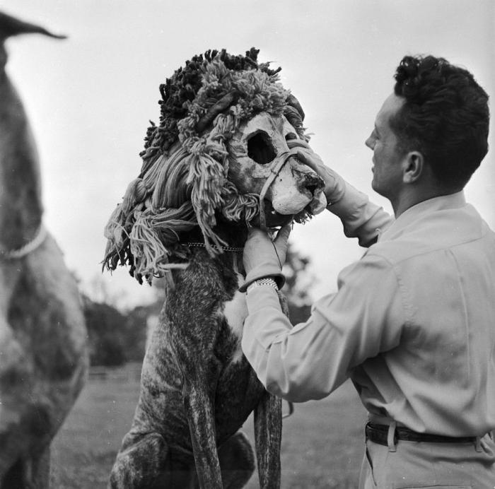 El Circo del Sol se declara en bancarrota y despide a 3.480 empleados