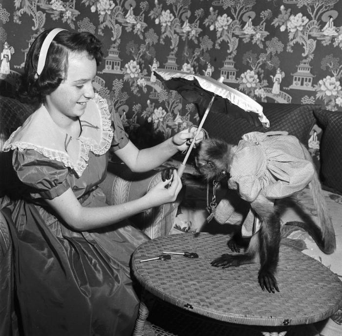 El Circo del Sol se declara en bancarrota y despide a 3.480 empleados