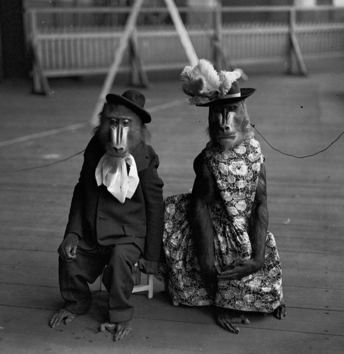 El Circo del Sol se declara en bancarrota y despide a 3.480 empleados