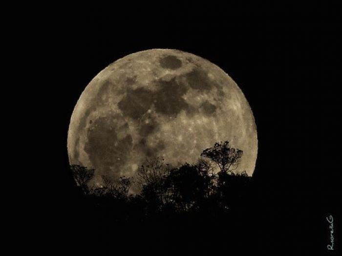 Guía para no perderte nada del eclipse parcial de Luna del 16 de julio