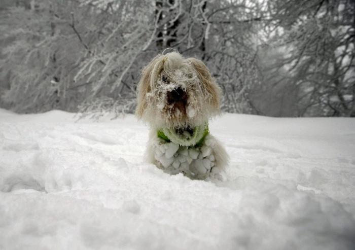 Noviembre de calor: ¿cuándo bajan las temperaturas y llega la nieve?
