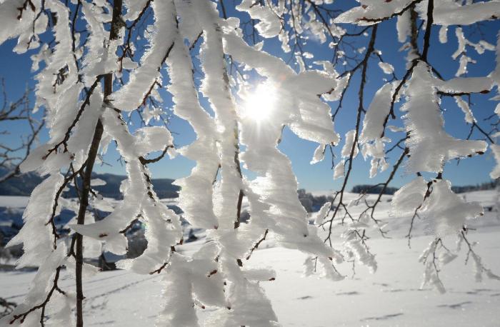 Noviembre de calor: ¿cuándo bajan las temperaturas y llega la nieve?