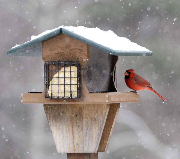 Noviembre de calor: ¿cuándo bajan las temperaturas y llega la nieve?