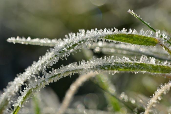 Noviembre de calor: ¿cuándo bajan las temperaturas y llega la nieve?
