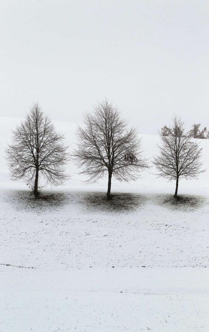 Noviembre de calor: ¿cuándo bajan las temperaturas y llega la nieve?