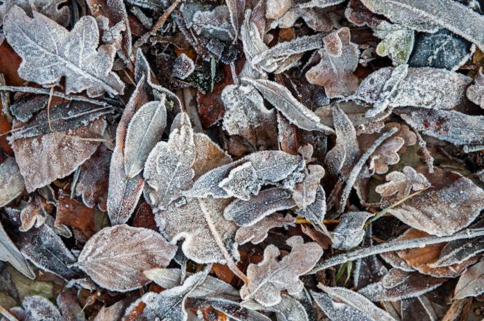 Noviembre de calor: ¿cuándo bajan las temperaturas y llega la nieve?