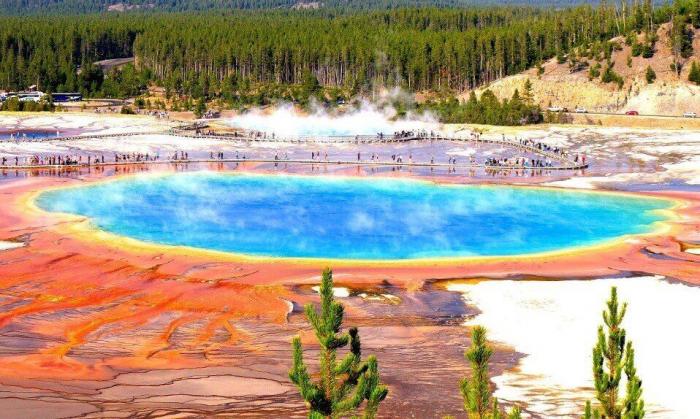 La Guardia Civil se lleva el aplauso en Twitter al compartir este cartel