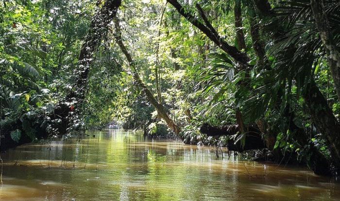 La Guardia Civil se lleva el aplauso en Twitter al compartir este cartel