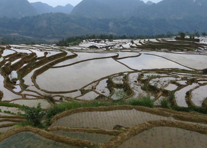 La Guardia Civil se lleva el aplauso en Twitter al compartir este cartel