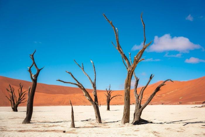 La Guardia Civil se lleva el aplauso en Twitter al compartir este cartel