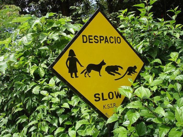 Palabras latinoamericanas que deberías conocer si hablas español