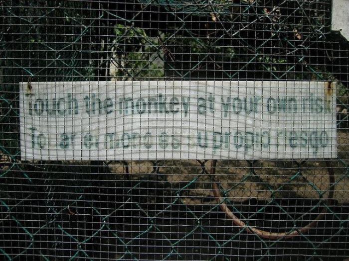 Palabras latinoamericanas que deberías conocer si hablas español