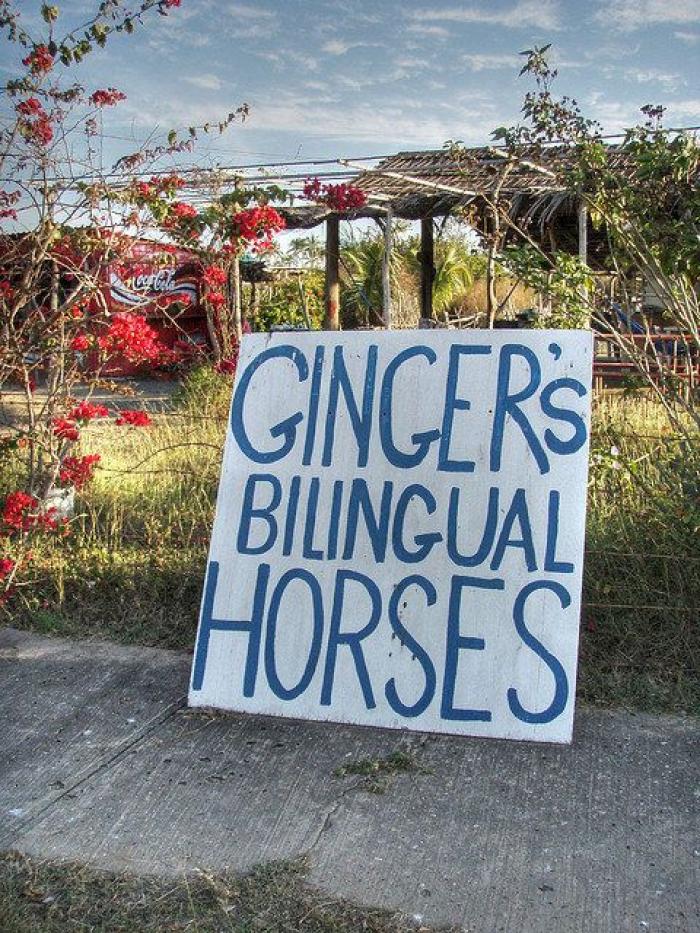 Palabras latinoamericanas que deberías conocer si hablas español