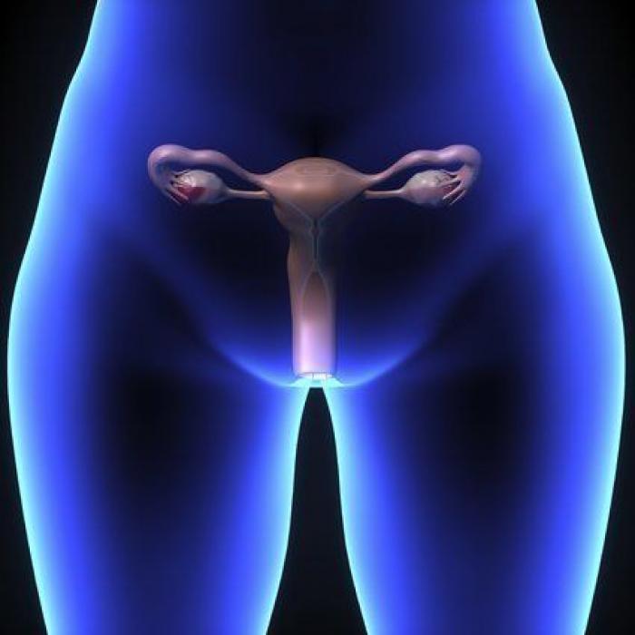 ¿Es mejor beber té o café a primera hora de la mañana?