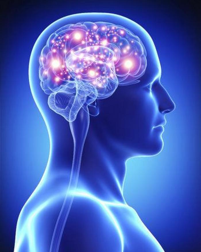 ¿Es mejor beber té o café a primera hora de la mañana?