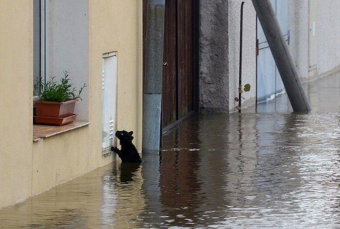 Fotos de las inundaciones en Europa: 27 imagenes impresionantes