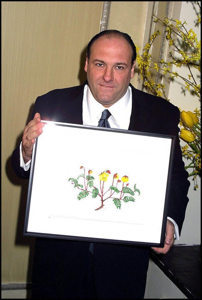 Muerte de 'Tony Soprano': homenaje a James Gandolfini en el lugar de la última escena de 'Los Soprano'