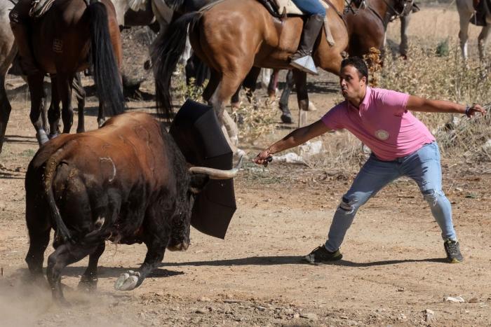 ¿The Walking Dead? La llamativa foto de la Plaza de Toros de Oviedo totalmente abandonada