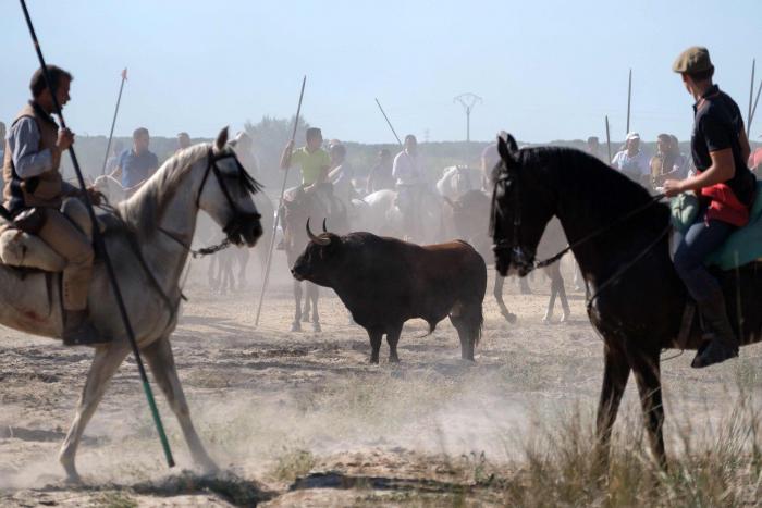 ¿The Walking Dead? La llamativa foto de la Plaza de Toros de Oviedo totalmente abandonada