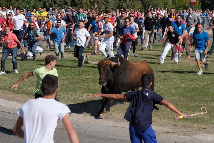 ¿The Walking Dead? La llamativa foto de la Plaza de Toros de Oviedo totalmente abandonada