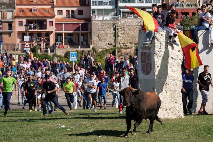 ¿The Walking Dead? La llamativa foto de la Plaza de Toros de Oviedo totalmente abandonada
