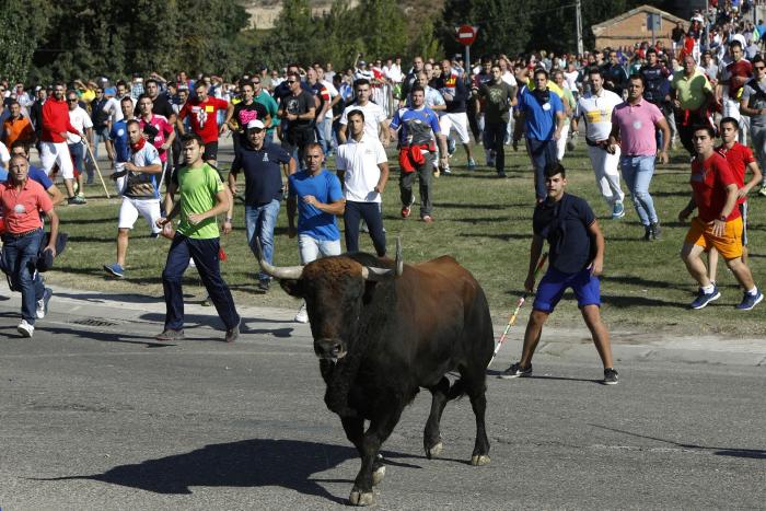 ¿The Walking Dead? La llamativa foto de la Plaza de Toros de Oviedo totalmente abandonada