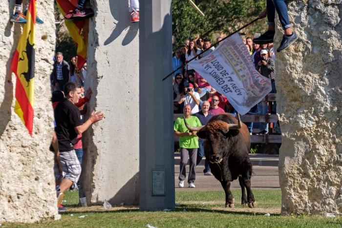 ¿The Walking Dead? La llamativa foto de la Plaza de Toros de Oviedo totalmente abandonada