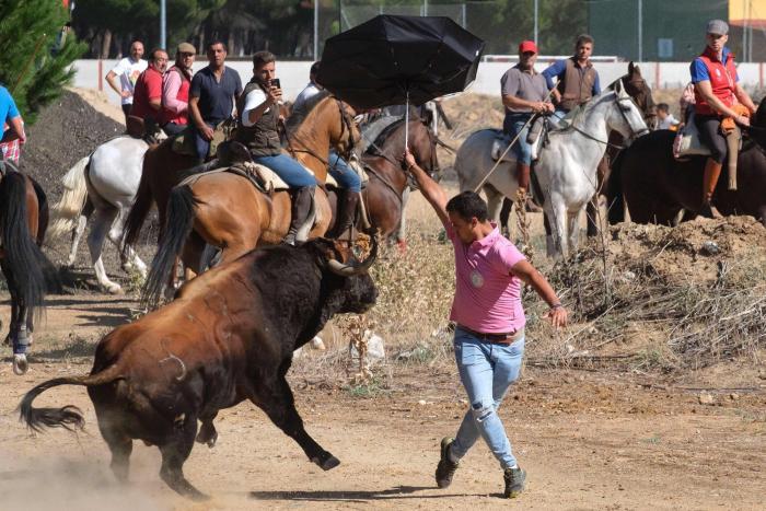 ¿The Walking Dead? La llamativa foto de la Plaza de Toros de Oviedo totalmente abandonada