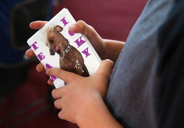 Perros híbridos: 19 cruces de dos razas que te encantarán (FOTOS)