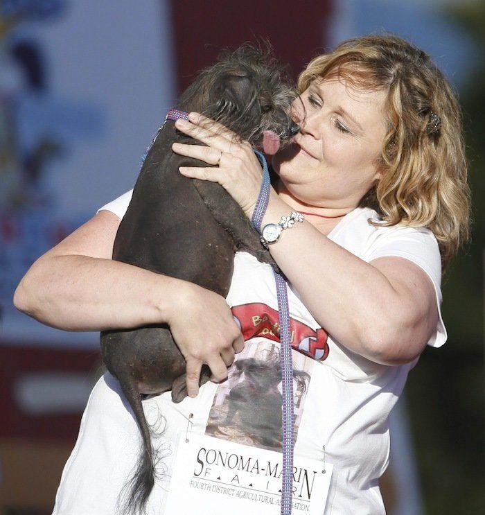 Perros híbridos: 19 cruces de dos razas que te encantarán (FOTOS)