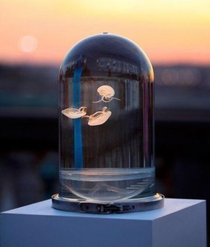 Gwyneth Paltrow reconoce la espinita que tiene sobre su ruptura con Brad Pitt