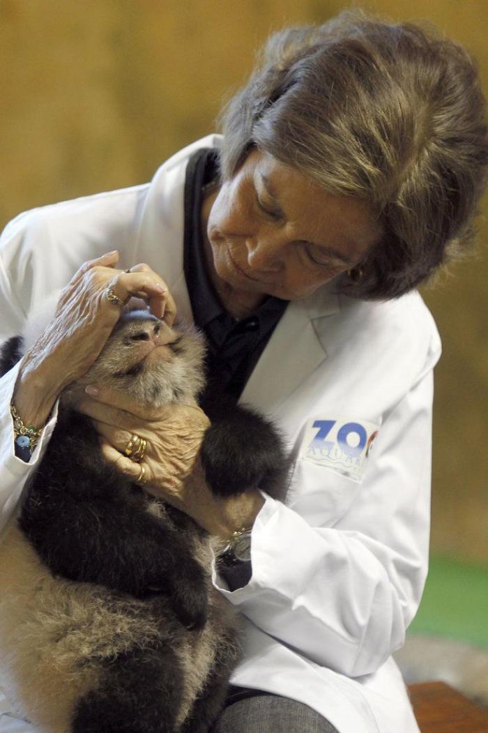 La figura de Sofía, la otra damnificada de los escándalos del rey Juan Carlos I