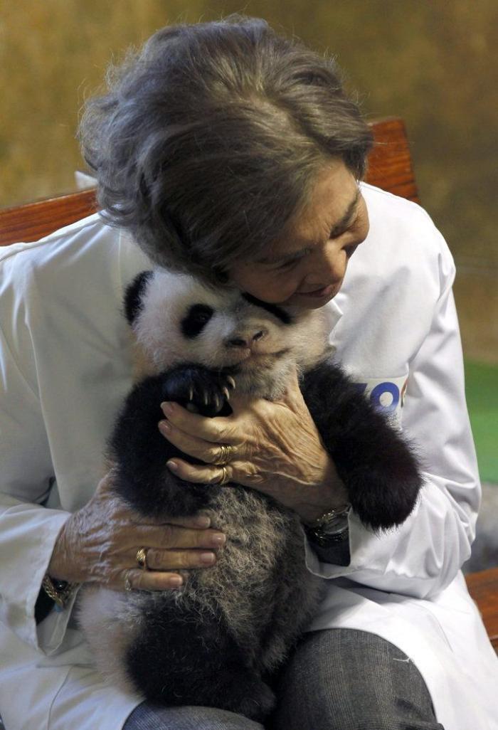 La figura de Sofía, la otra damnificada de los escándalos del rey Juan Carlos I