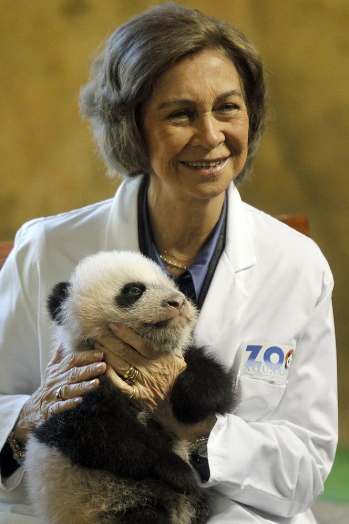 La figura de Sofía, la otra damnificada de los escándalos del rey Juan Carlos I