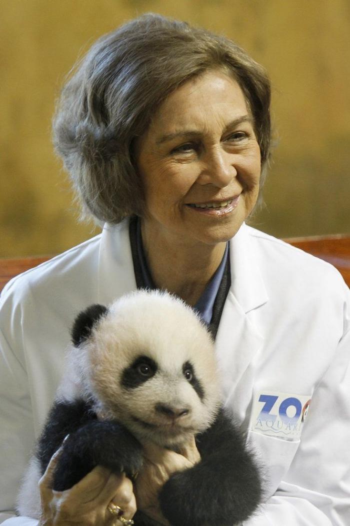 La figura de Sofía, la otra damnificada de los escándalos del rey Juan Carlos I