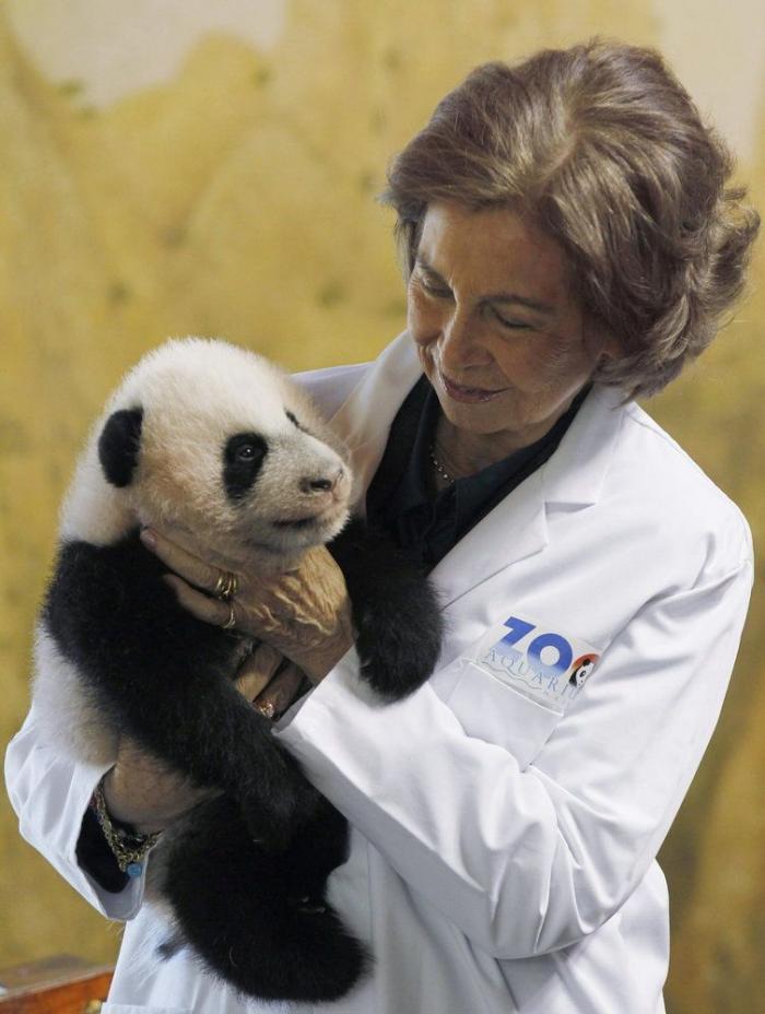 La figura de Sofía, la otra damnificada de los escándalos del rey Juan Carlos I