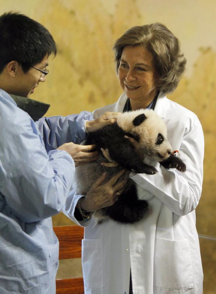 La figura de Sofía, la otra damnificada de los escándalos del rey Juan Carlos I